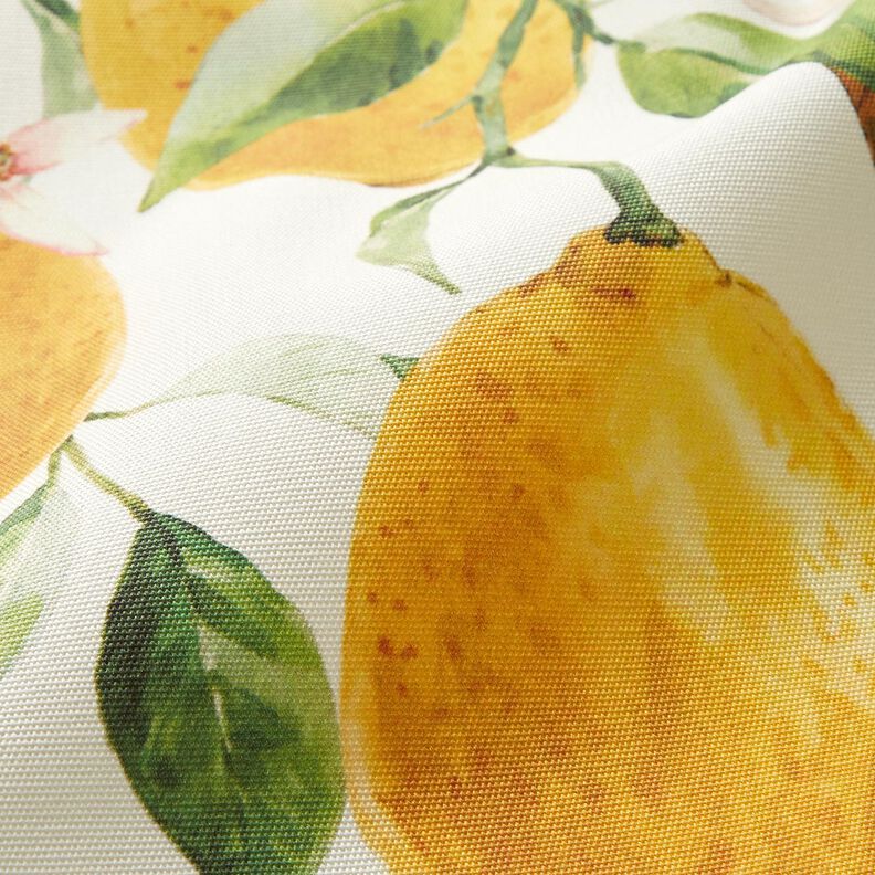 tessuti da esterni tessuti canvas limoni – avorio/giallo limone,  image number 3