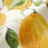 tessuti da esterni tessuti canvas limoni – avorio/giallo limone,  thumbnail number 3