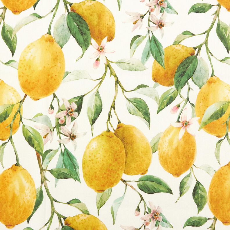 tessuti da esterni tessuti canvas limoni – avorio/giallo limone,  image number 1
