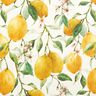 tessuti da esterni tessuti canvas limoni – avorio/giallo limone,  thumbnail number 1