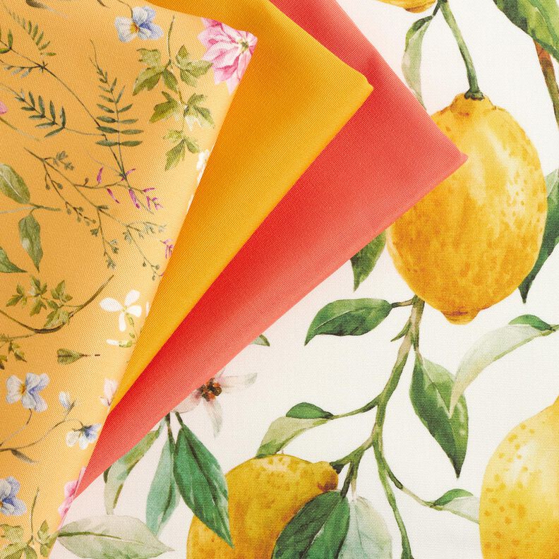 tessuti da esterni tessuti canvas limoni – avorio/giallo limone,  image number 6